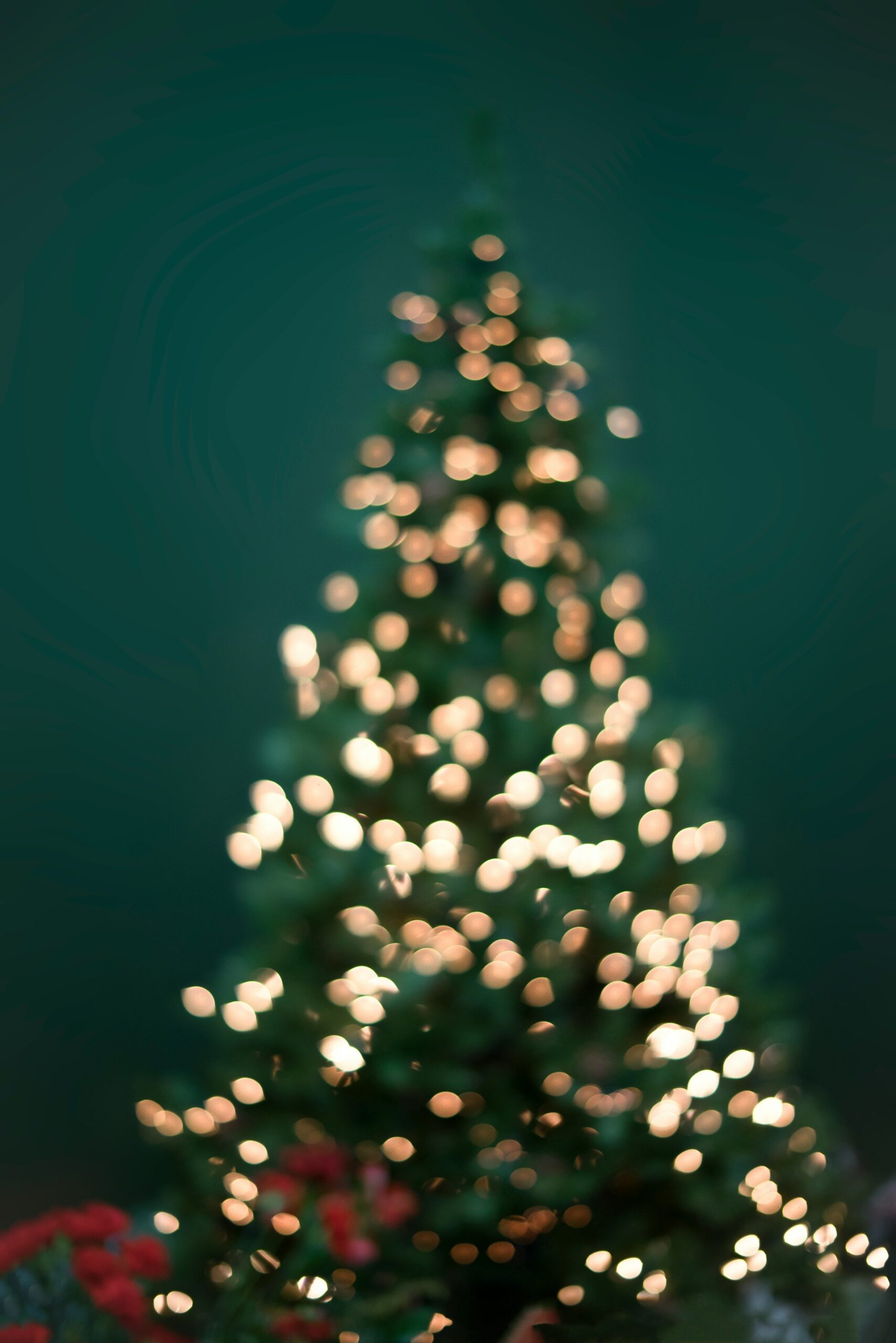Christmas lights